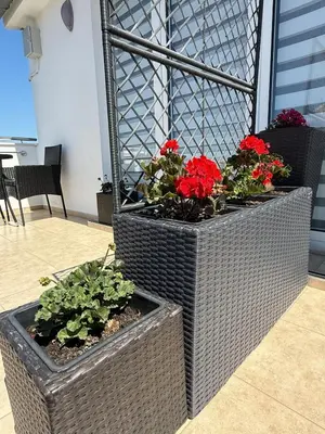 Tlocrt objekta Apartments SÍ