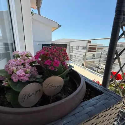 Apartments SÍ