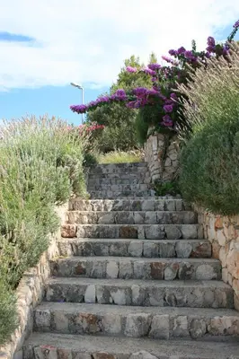 Priroda u blizini vila