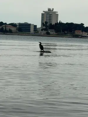 Priroda u blizini apartmana