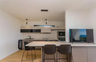 Kuhinja ili čajna kuhinja u objektu Apartments Adriatic