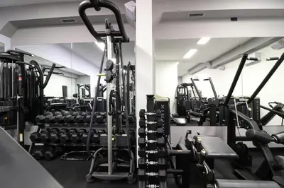 Fitness centar i/ili fitness sadržaji u objektu Villa Golden Lion