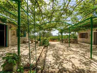 Vrt u objektu Holiday Home Nataša by Interhome