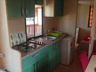 Kuhinja ili čajna kuhinja u objektu Apartments with parking space Grebastica, Sibenik - 23339
