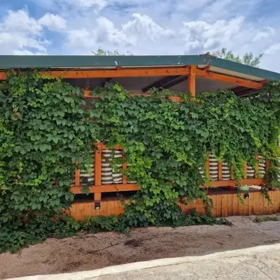Apartments with parking space Grebastica