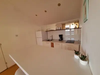 Kuhinja ili čajna kuhinja u objektu Apartments Ana Žaborić, 50 m od šljunčane plaže
