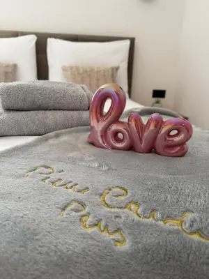 Krevet ili kreveti u jedinici u objektu Apartman Karla