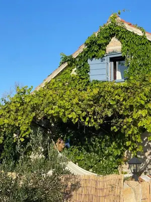 Tlocrt objekta Villa Toni