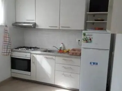 Kuhinja ili čajna kuhinja u objektu Apartment Mijatovic