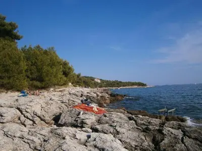 Priroda u blizini apartmana