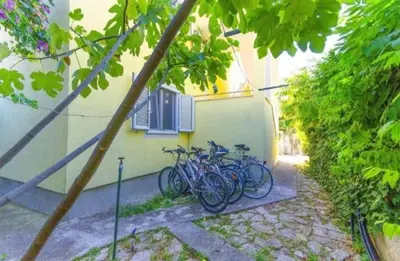 Vožnja biciklom pokraj objekta Apartments Petrovic ili u blizini
