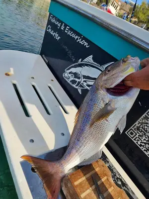 Tlocrt objekta Fishing Chatrer -Big game-izleti brodom
