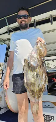 Gosti u objektu Fishing Chatrer -Big game-izleti brodom