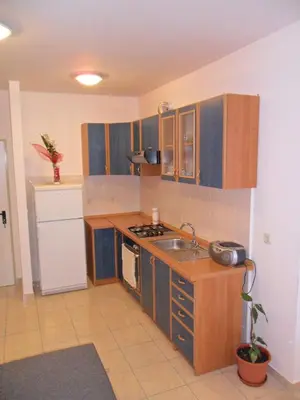 Kuhinja ili čajna kuhinja u objektu Apartment Kiko