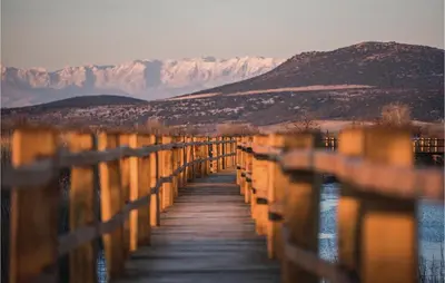 Priroda u blizini vikendica