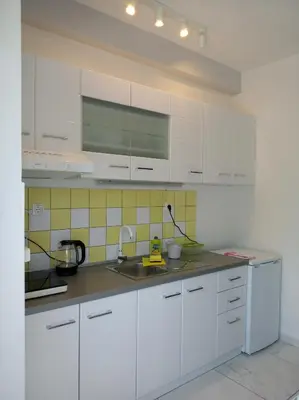 Kuhinja ili čajna kuhinja u objektu Apartments Meri