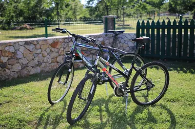 Vožnja biciklom pokraj objekta Agrotourism Galic Krka ili u blizini