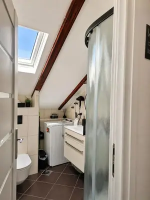 Kupaonica u objektu Renovated Apartments Skorin