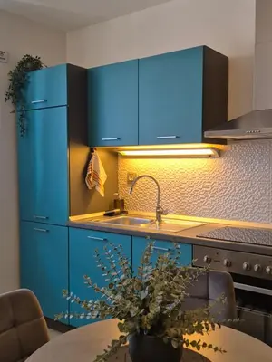 Kuhinja ili čajna kuhinja u objektu Renovated Apartments Skorin