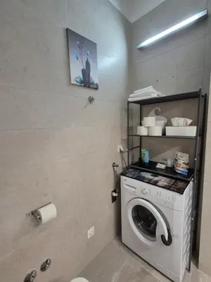 Kuhinja ili čajna kuhinja u objektu Renovated Apartments Skorin