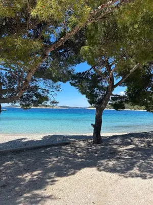 Priroda u blizini apartmana