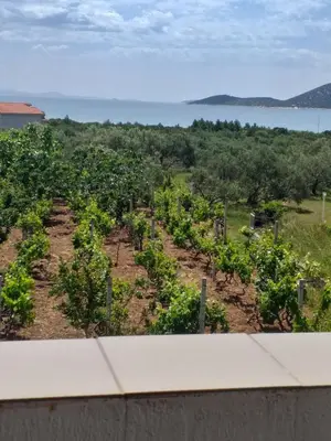 Priroda u blizini apartmana