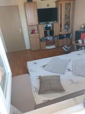 Kuhinja ili čajna kuhinja u objektu Apartment Dada
