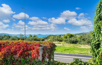 Priroda u blizini apartmana