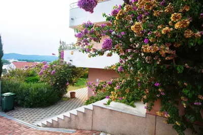 Vrt u objektu Apartments with parking space Solaris, Sibenik - 23541