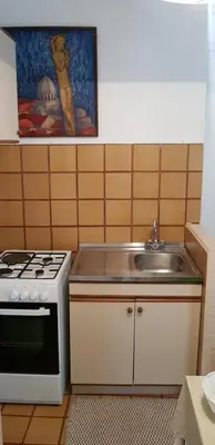 Kuhinja ili čajna kuhinja u objektu Apartments Petra