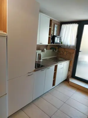 Kuhinja ili čajna kuhinja u objektu Apartment Balinovaca