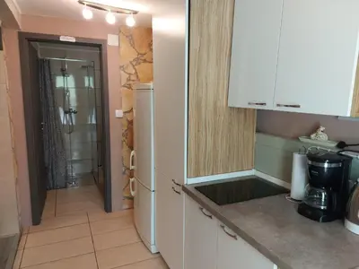 Kuhinja ili čajna kuhinja u objektu Apartment Balinovaca