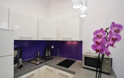 Kuhinja ili čajna kuhinja u objektu Amazing Apartment In Rogoznica