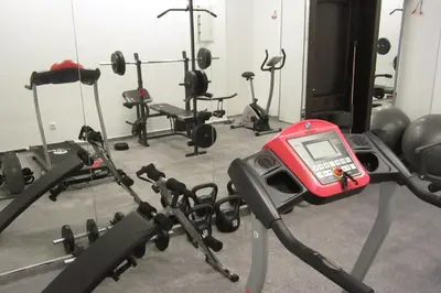 Fitness centar i/ili fitness sadržaji u objektu Viktoria Lodge Bed and Breakfast