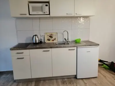 Kuhinja ili čajna kuhinja u objektu Apartments Purkovic