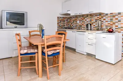 Kuhinja ili čajna kuhinja u objektu Apartments Purkovic