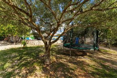 Vrt u objektu MY DALMATIA - Holiday home Nadalina with private pool and jacuzzi