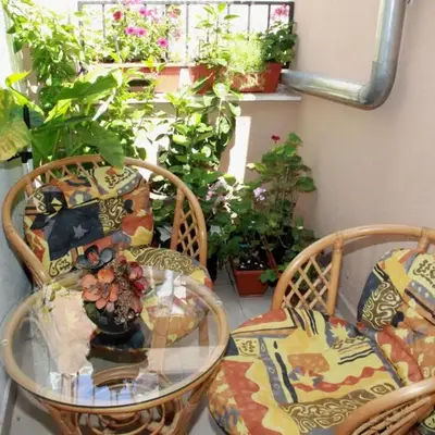 Apartment Bucevic