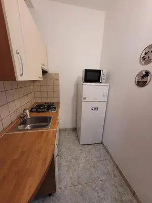 Kuhinja ili čajna kuhinja u objektu Villa Kaktusa