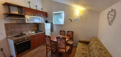 Kuhinja ili čajna kuhinja u objektu Apartments by the sea Tisno - Murter - 23720
