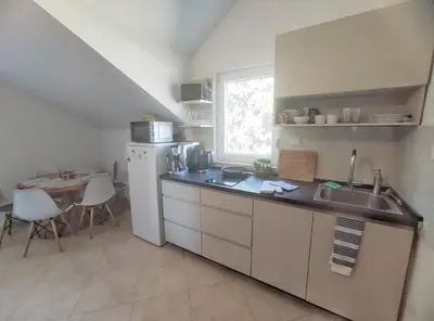 Kuhinja ili čajna kuhinja u objektu Pine Tree Dalmatia Srima