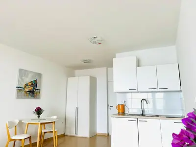 Kuhinja ili čajna kuhinja u objektu Villa Sunset