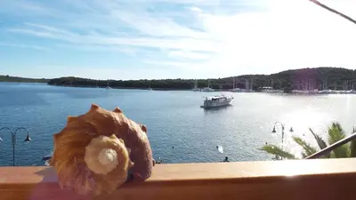 Priroda u blizini apartmana