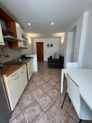 Kuhinja ili čajna kuhinja u objektu Apartments Božena