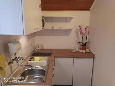 Kuhinja ili čajna kuhinja u objektu Apartments Ante