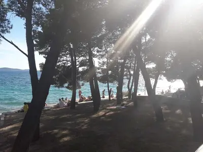 Priroda u blizini apartmana