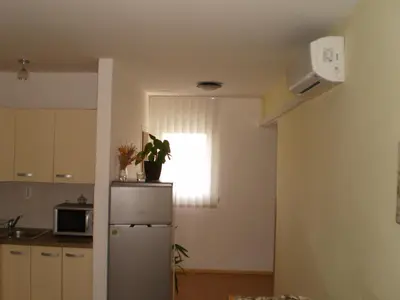 Kuhinja ili čajna kuhinja u objektu Apartments Vala