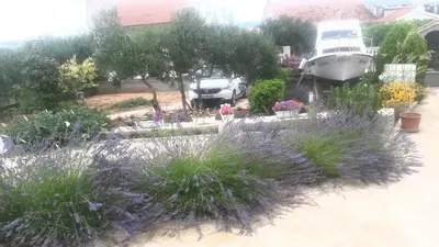Vrt u objektu House Marie's Lavander Dream