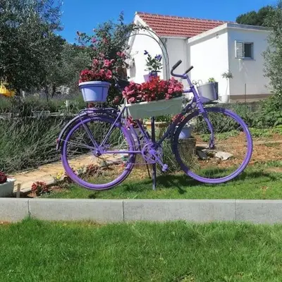 House Marie's Lavander Dream