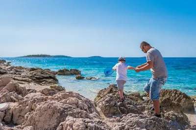 Priroda u blizini kampova